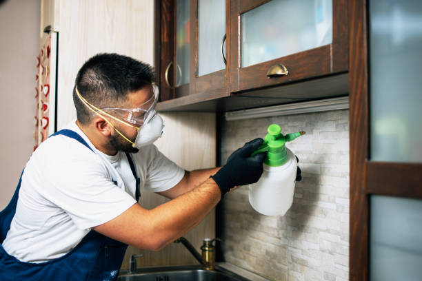 Best Pest Prevention Services  in Sneads, FL