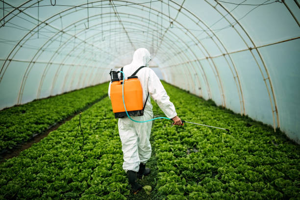 Best Local Pest Control Services  in Sneads, FL