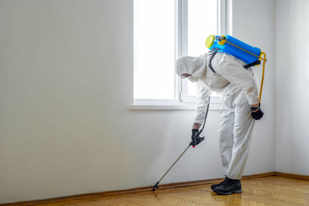 Best Wasp Removal Services  in Sneads, FL