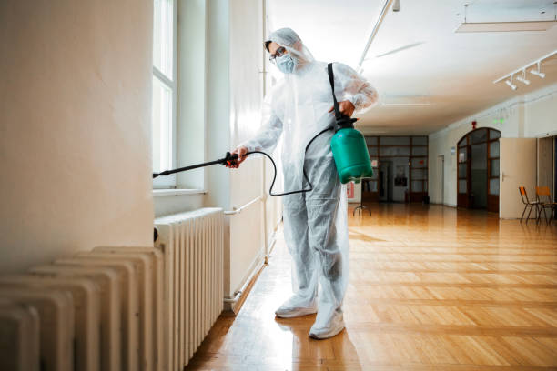 Best Local Pest Control Services  in Sneads, FL