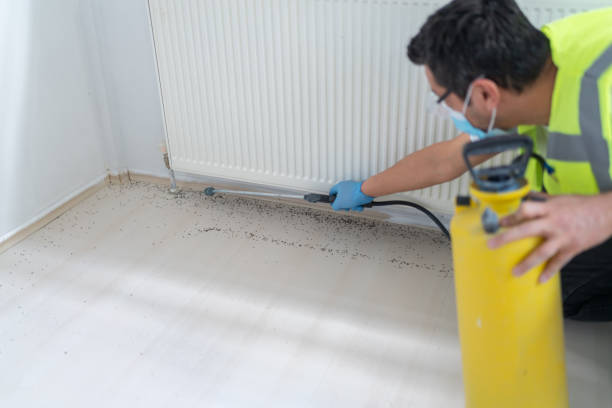 Best Termite Control Services  in Sneads, FL