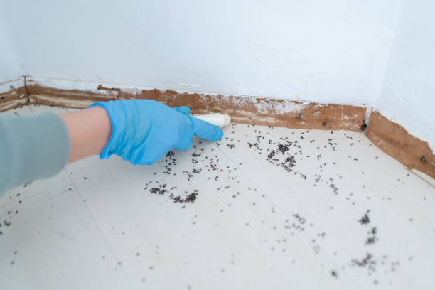 Best Best Pest Control Companies  in Sneads, FL