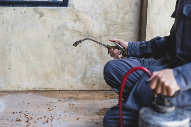 Best Wasp Removal Services  in Sneads, FL
